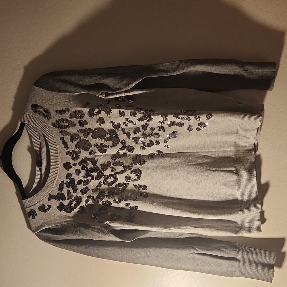 Express sequin sweater size large